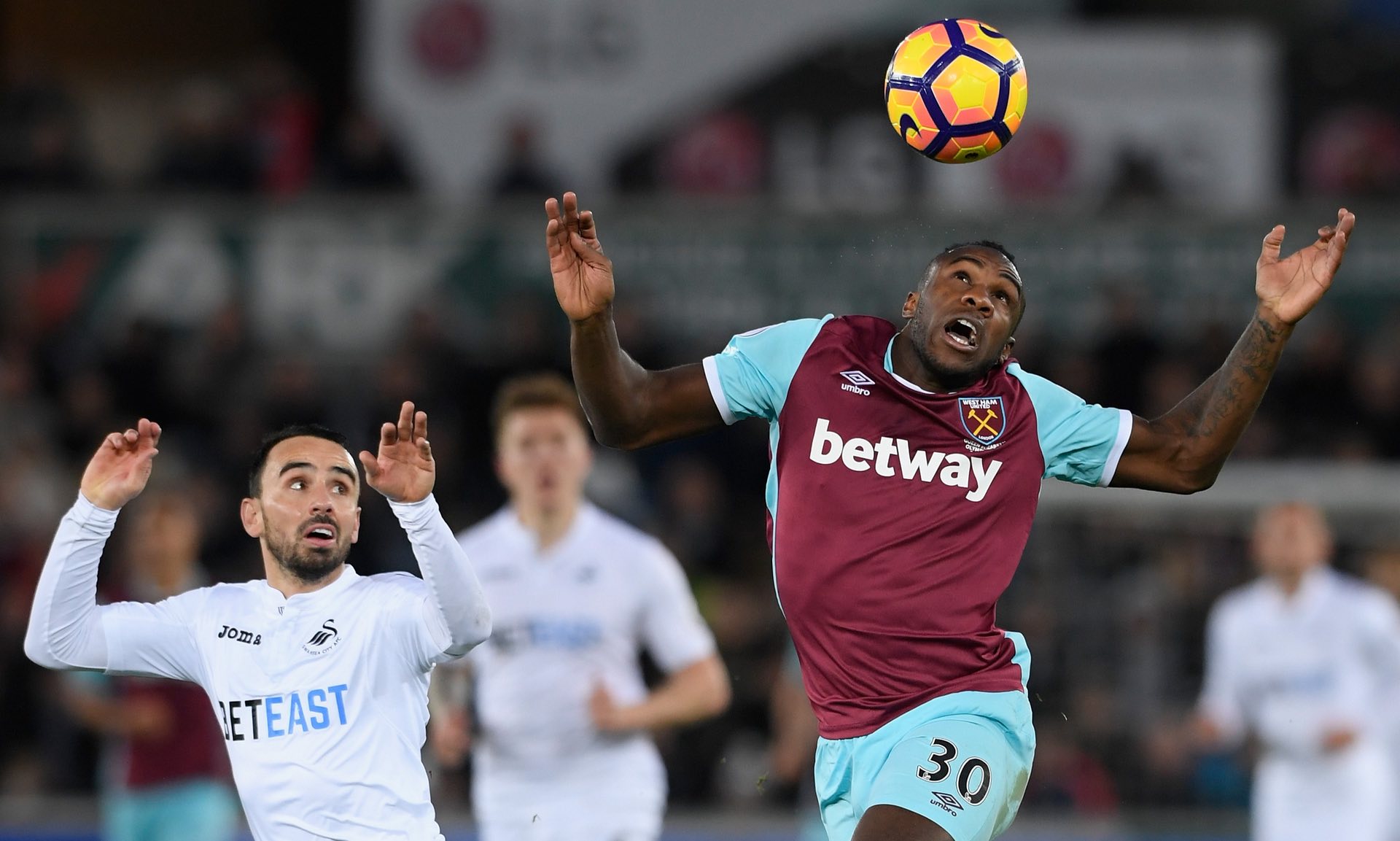 開始聚焦慈 開始聚焦慈